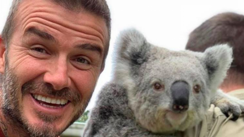David Beckham